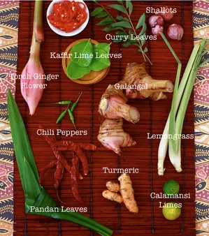 Incorporating Filipino Herbs and Spices into Your Diet